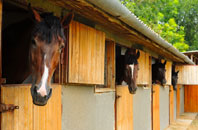 free Roachill stable construction quotes